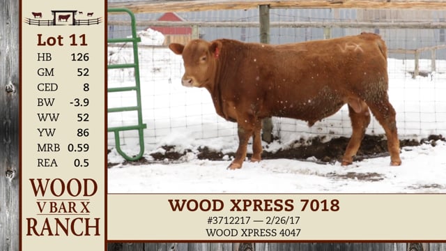 Lot #11 - WOOD XPRESS 7018