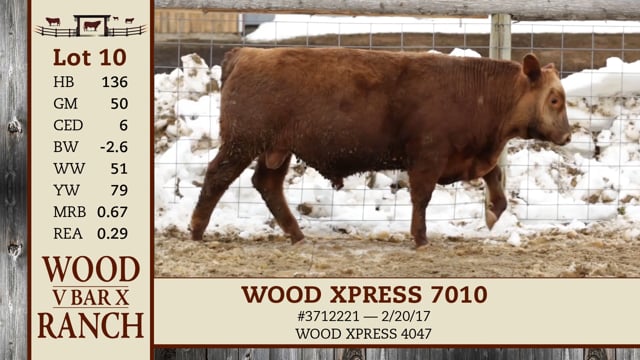 Lot #10 - WOOD XPRESS 7010