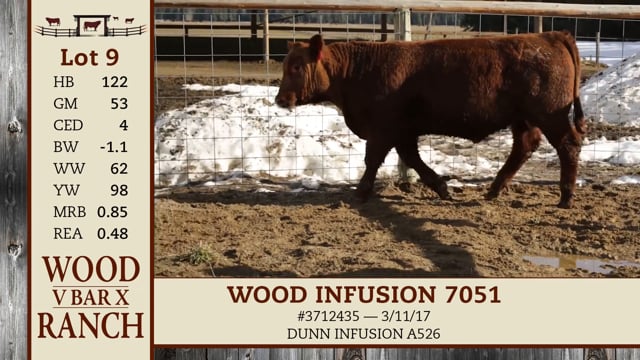 Lot #9 - WOOD INFUSION 7051