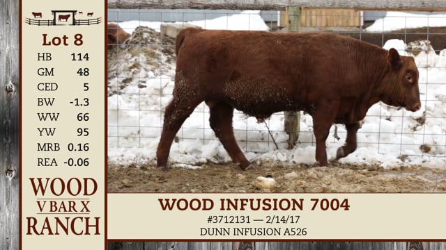 Lot #8 - WOOD INFUSION 7004