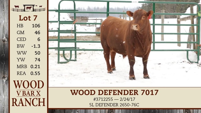 Lot #7 - WOOD DEFENDER 7017