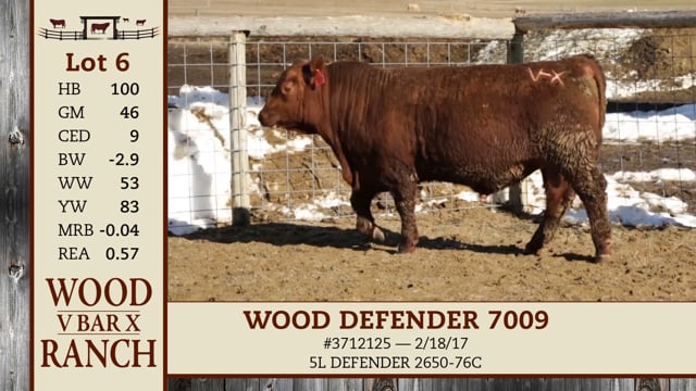 Lot #6 - WOOD DEFENDER 7009