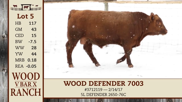 Lot #5 - WOOD DEFENDER 7003