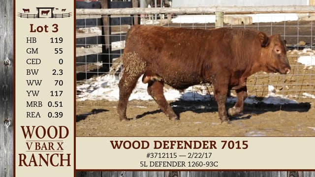 Lot #3 - WOOD DEFENDER 7015