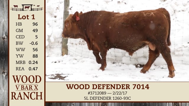 Lot #1 - WOOD DEFENDER 7014