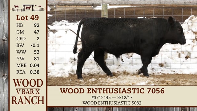 Lot #49 - WOOD ENTHUSIASTIC 7056
