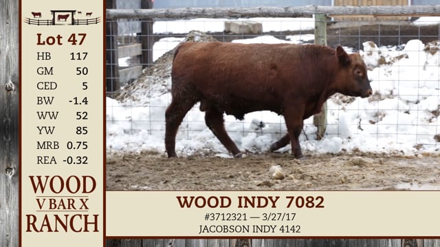 Lot #47 - WOOD INDY 7082