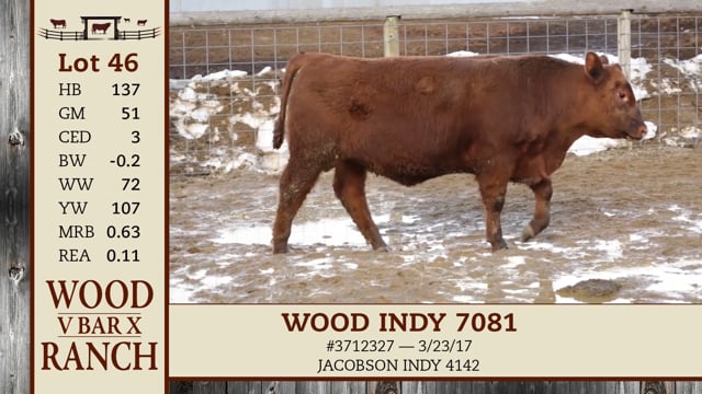 Lot #46 - WOOD INDY 7081