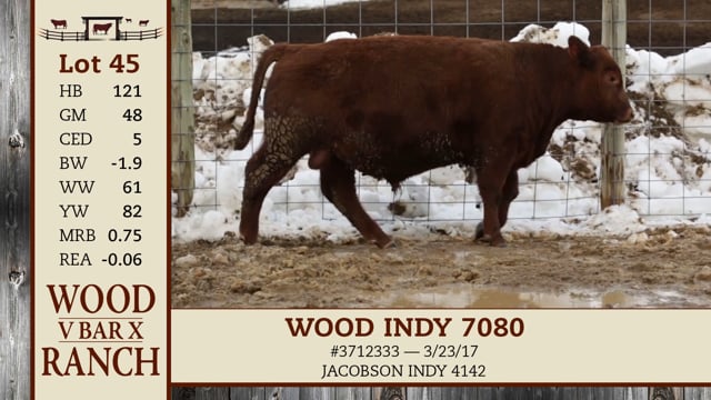 Lot #45 - WOOD INDY 7080
