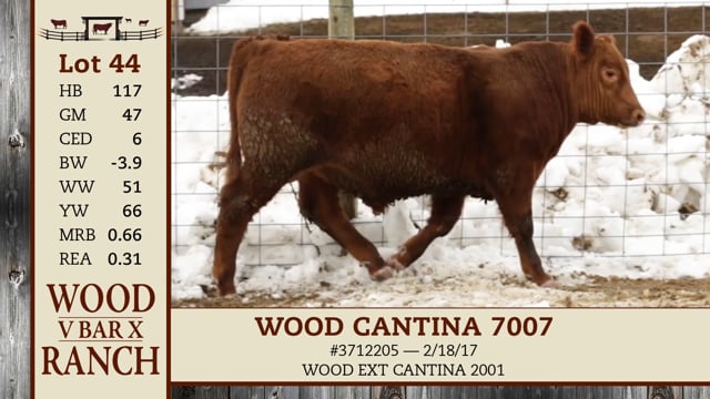 Lot #44 - WOOD CANTINA 7007