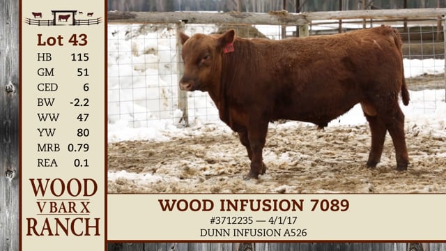 Lot #43 - WOOD INFUSION 7089