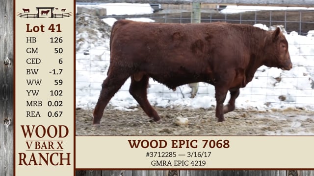 Lot #41 - *OUT* WOOD EPIC 7068