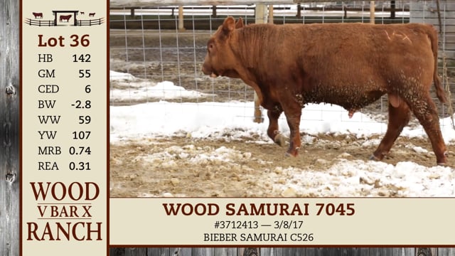 Lot #36 - WOOD SAMURAI 7045