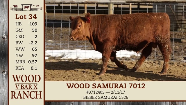 Lot #34 - WOOD SAMURAI 7012