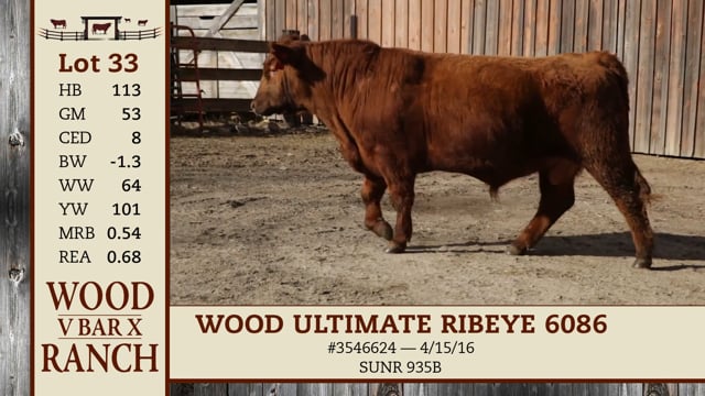 Lot #33 - WOO ULTIMATE RIBEYE 6086