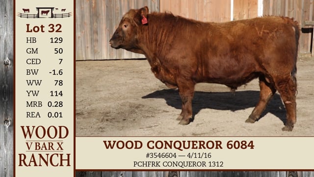 Lot #32 - *OUT* WOOD CONQUEROR 6084