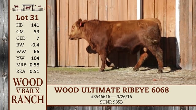 Lot #31 - *OUT* WOOD ULTIMATE RIBEYE 6068