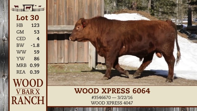 Lot #30 - WOOD XPRESS 6064