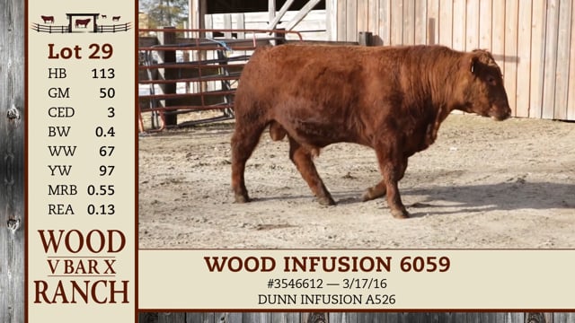 Lot #29 - WOOD INFUSION 6059