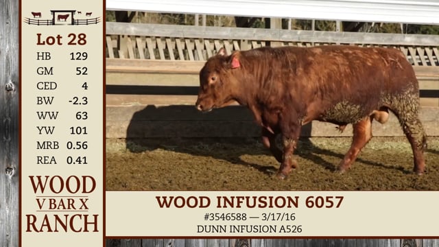 Lot #28 - WOOD INFUSION 6057