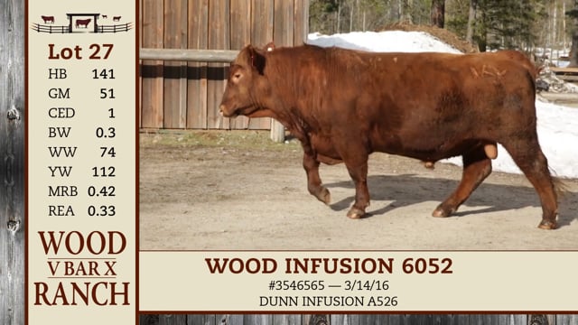 Lot #27 - WOOD INFUSION 6052