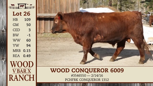Lot #26 - WOOD CONQUEROR 6009