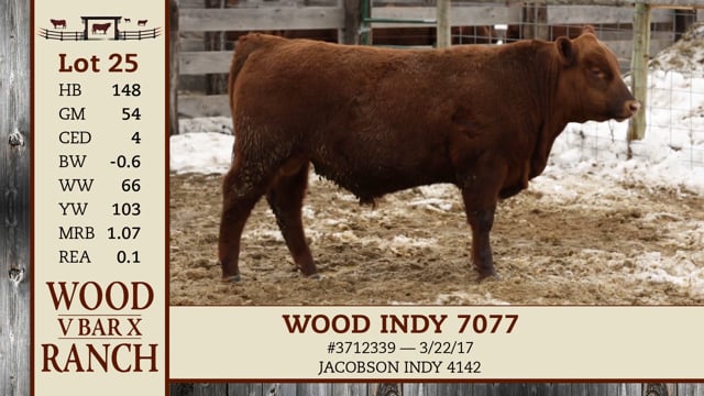 Lot #25 - WOOD INDY 7077