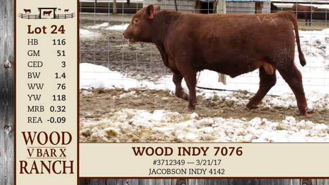 Lot #24 - WOOD INDY 7077
