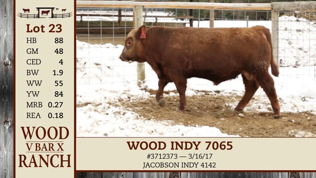 Lot #23 - WOOD INDY 7076
