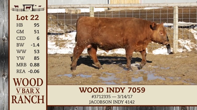 Lot #22 - *OUT* WOOD INDY 7065