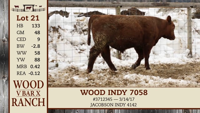 Lot #21 - *OUT* WOOD INDY 7058