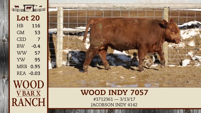 Lot #20 - WOOD INDY 7057
