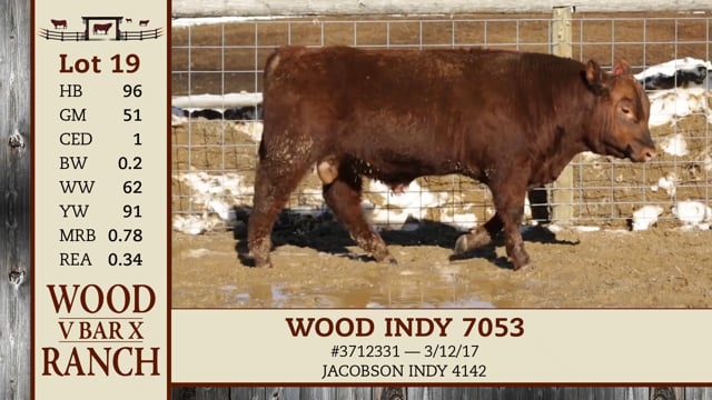 Lot #19 - WOOD INDY 7053