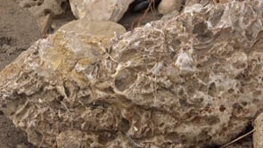 El temporal deixa al descobert part de l'antic port d'Empúries