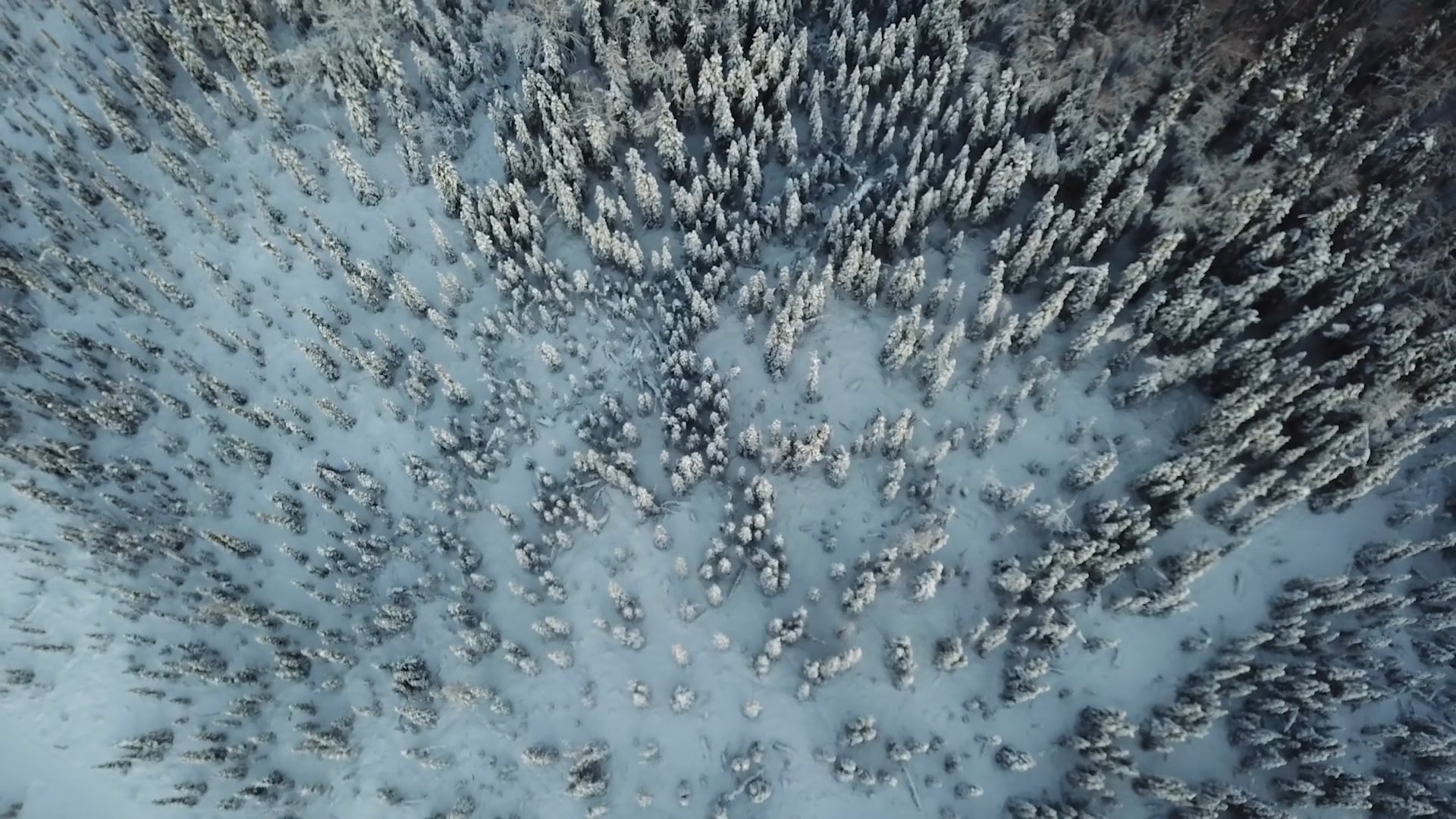 Alaska_The Lat Frontier