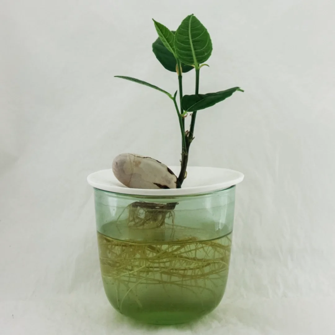 best potting soil mix for indoor plants Good Dirt Indoor Potting Soil Mix
