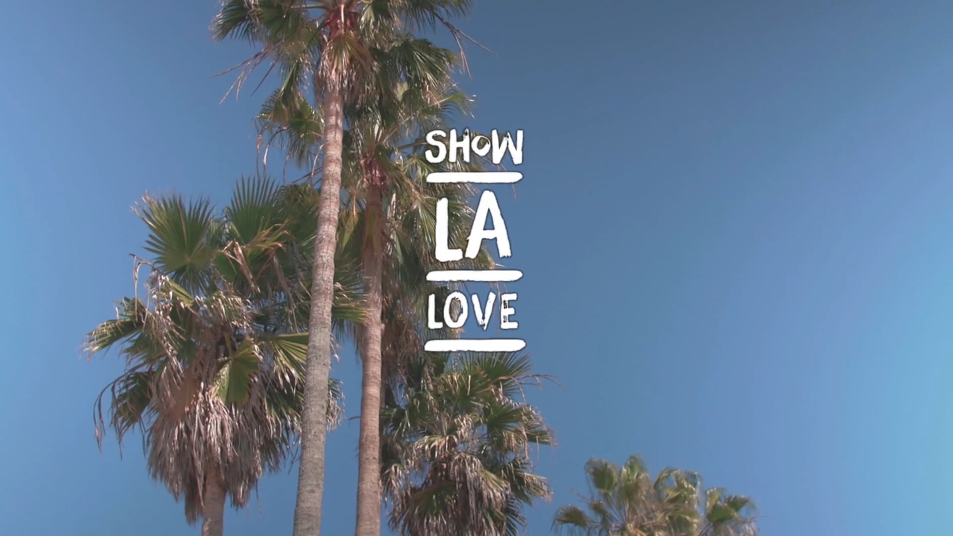 Silky Socks x Veniceball "Show LA Love"