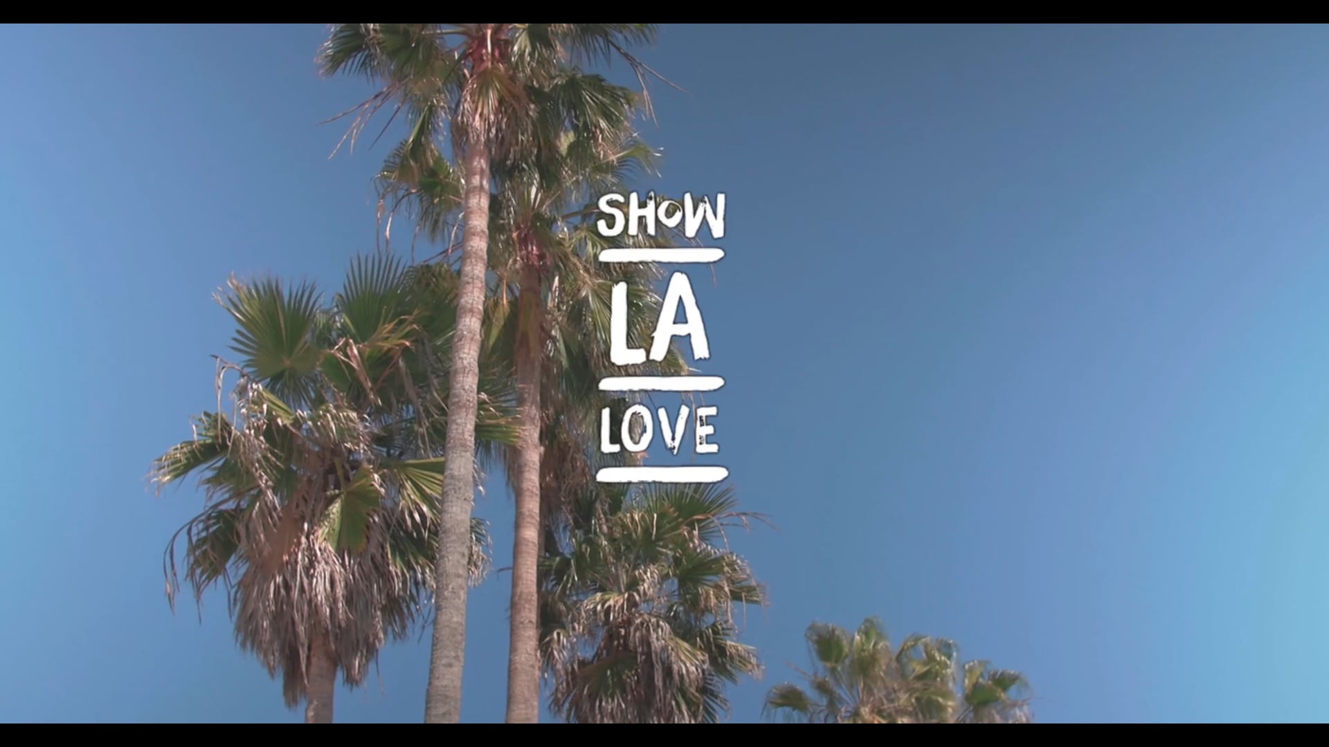 Silky Socks x Veniceball "Show LA Love"