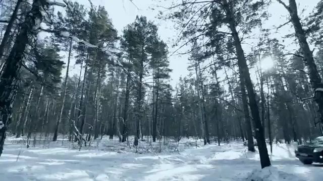 Реклама ДНС к мужскому празднику on Vimeo