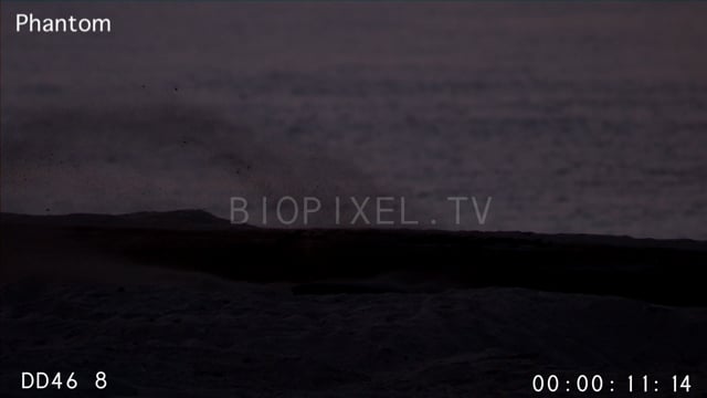 Green sea turtle digging nest slow motion 500 fps.mov