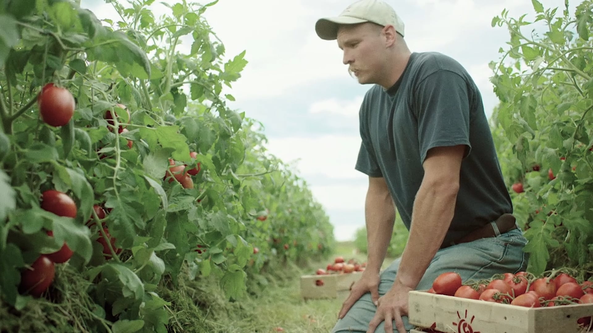 Sabra: Made with Love  TVC 1:20