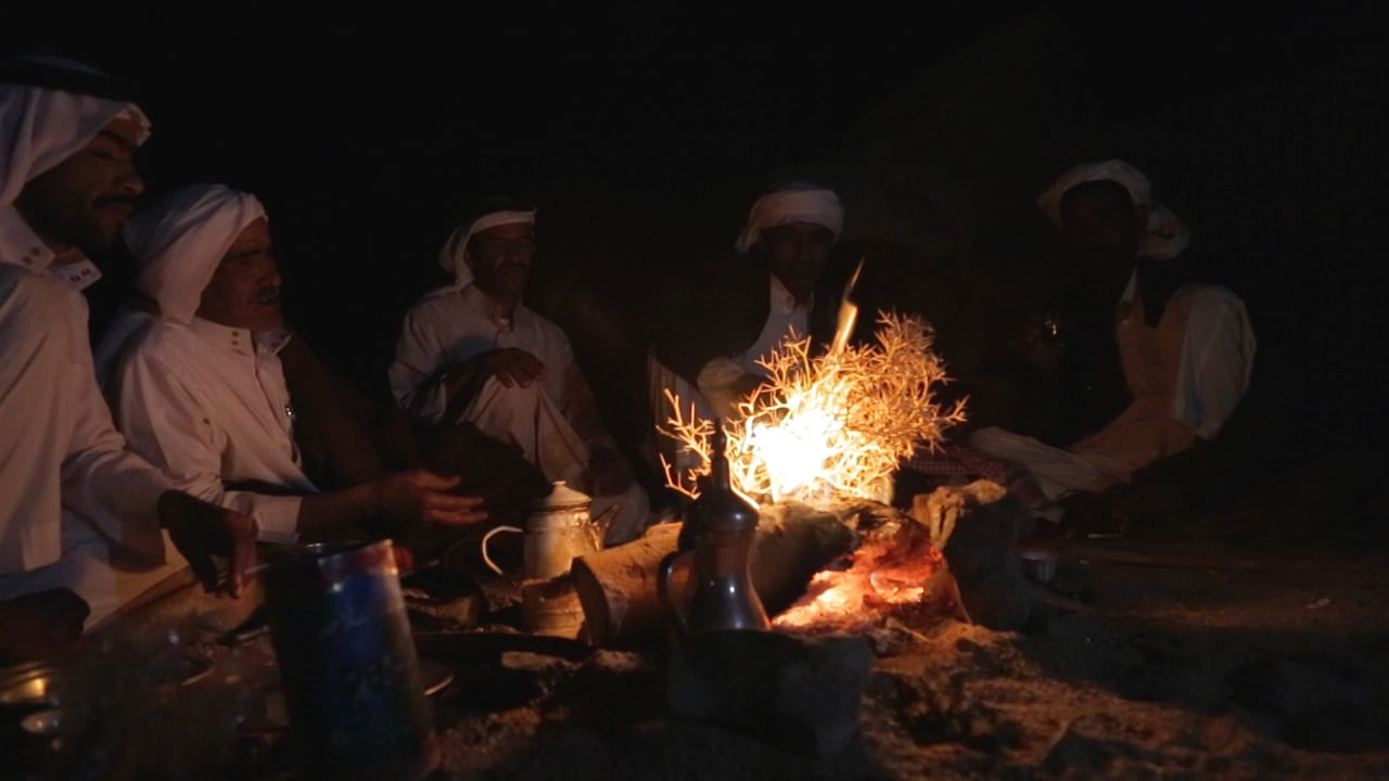 The Guest Star, a video by Jessica Jacobs and Said Khedr