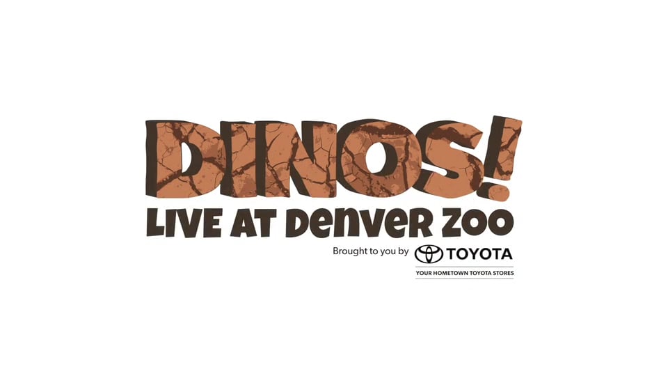 Denver Zoo (2017)