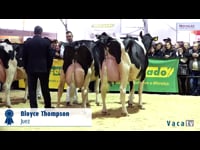 Mejor descendencia de vaca