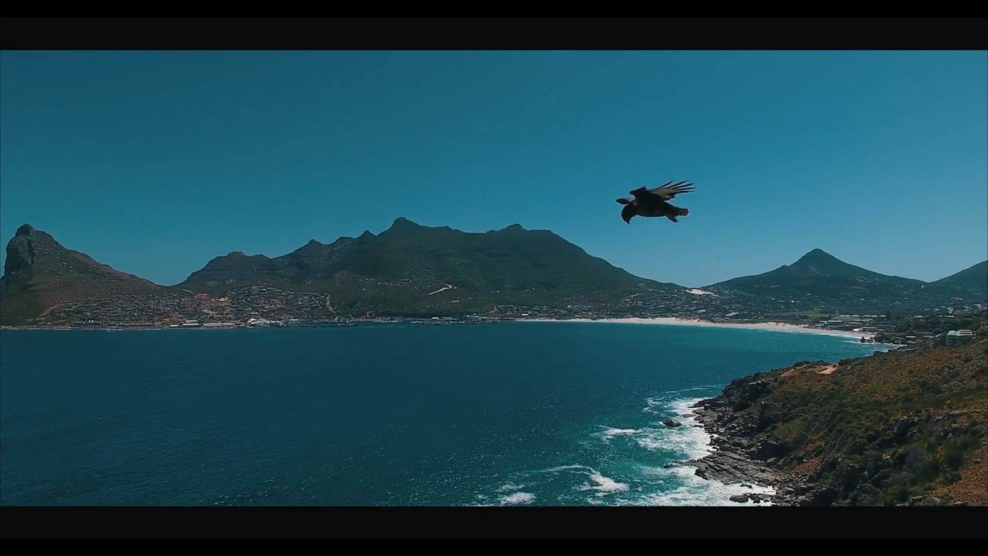 Duck Shots Showreel