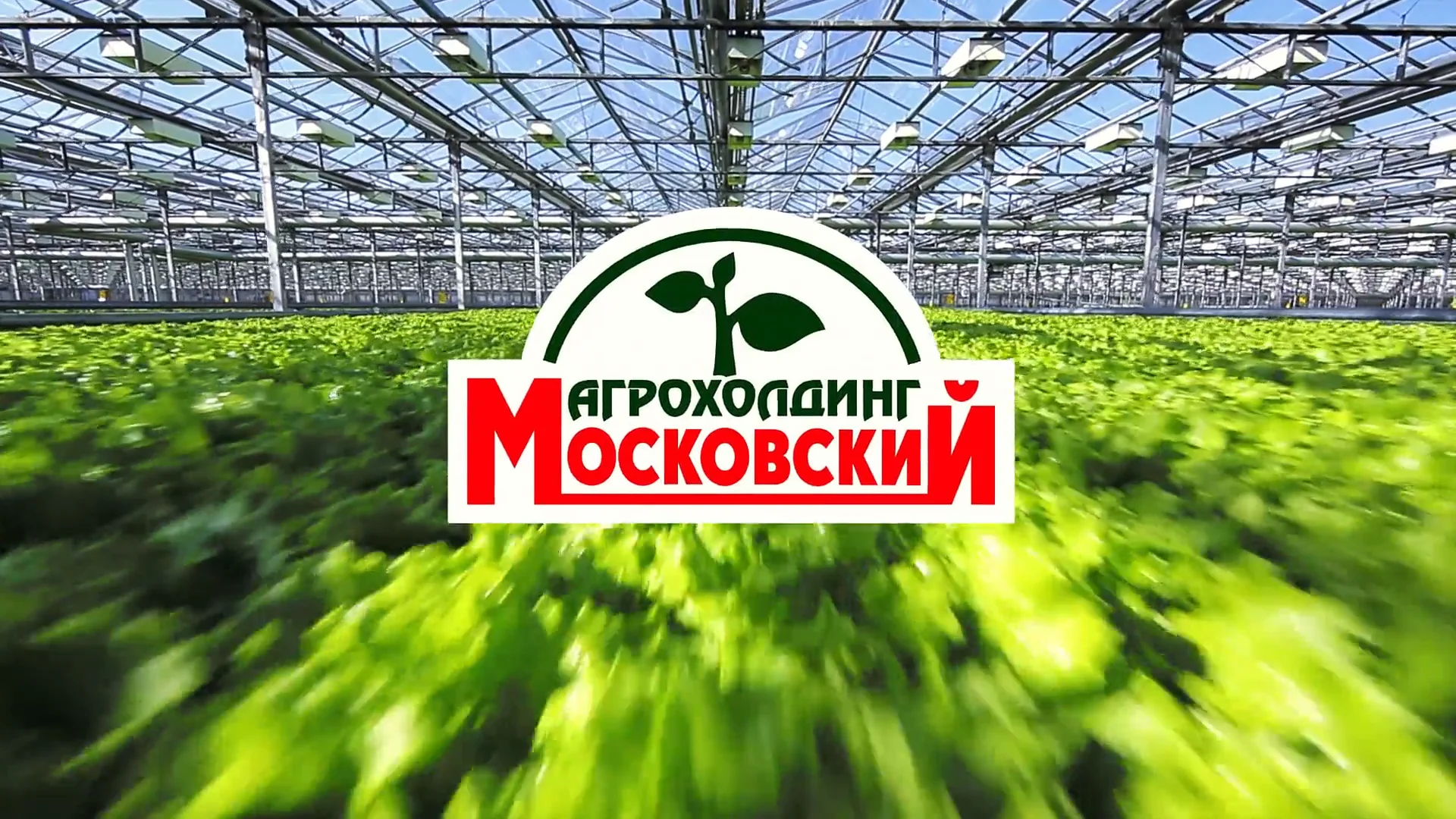 завод рассвет усть лабинск. агрохолдинг "московский" - калуга". внесение удобрений под свеклу фото. эко нива агрохолдинг. агрохолдинг сократил площадь.