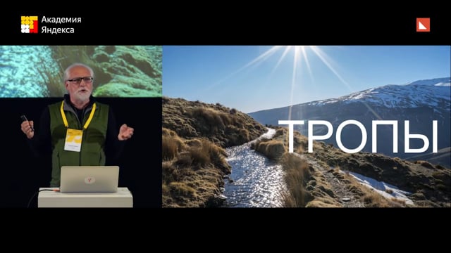 Мозги надо переключать почему и как