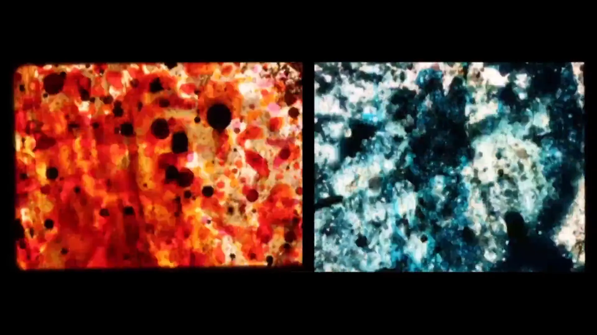 i-a-n-m-s-a-m-2016-on-vimeo