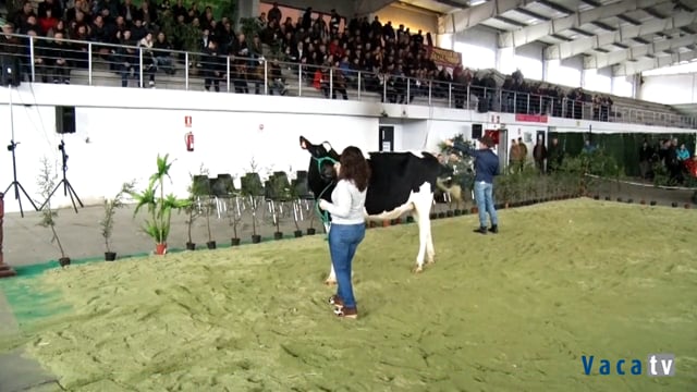 Poxa de Santa Comba 2018