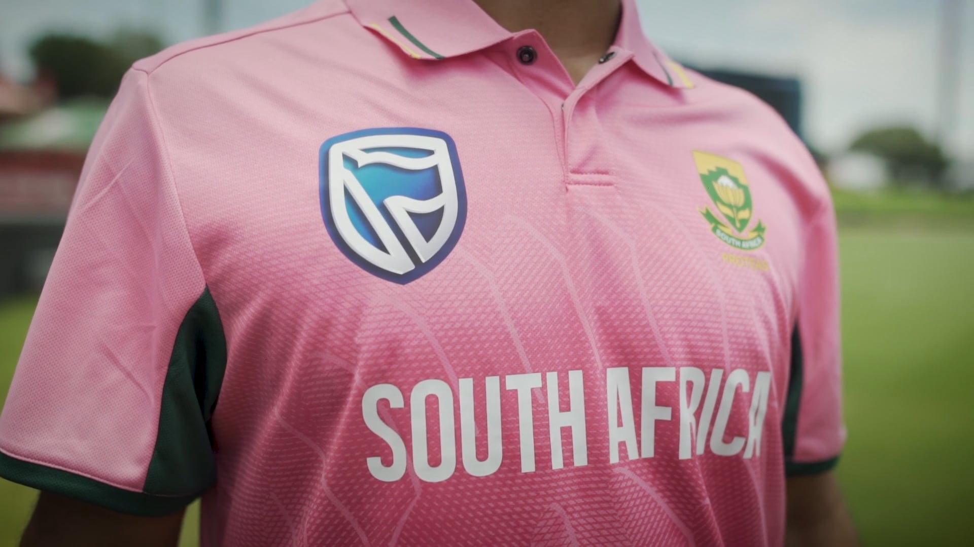 PROTEAS PITCH UP IN PINK SCRIPT 3